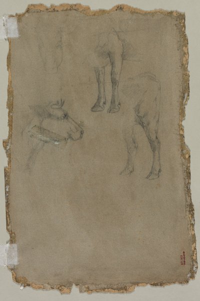 Études d