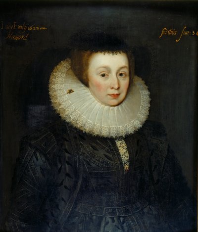 Portrait de Lady Emily Howard, début du 17e siècle - the Younger School of Marcus Gheeraerts
