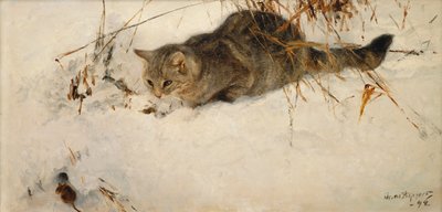 Un chat traque une souris dans la neige - Bruno Andreas Liljefors