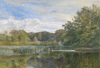 The Mill Pond, Evelyn Woods, 1860 - George Vicat Cole