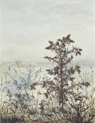 Chardons et mauvaises herbes, 1864 (wc, bodycolour, stylo et encre et crayon sur papier) - Léon Bonvin