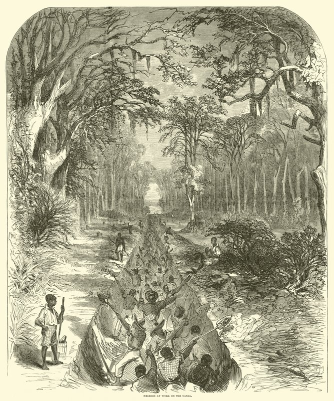 Noirs travaillant sur le canal, mars 1863 (gravure) - (after) American School