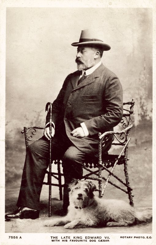 Feu le roi Édouard VII, avec son chien préféré Caesar - (after) English photographer
