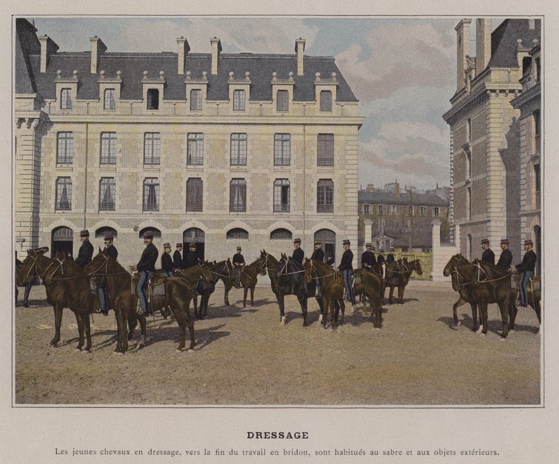 Dressage - (after) French Photographer