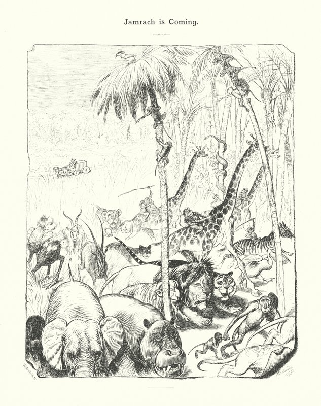Jamrach arrive (gravure) - (after) German School