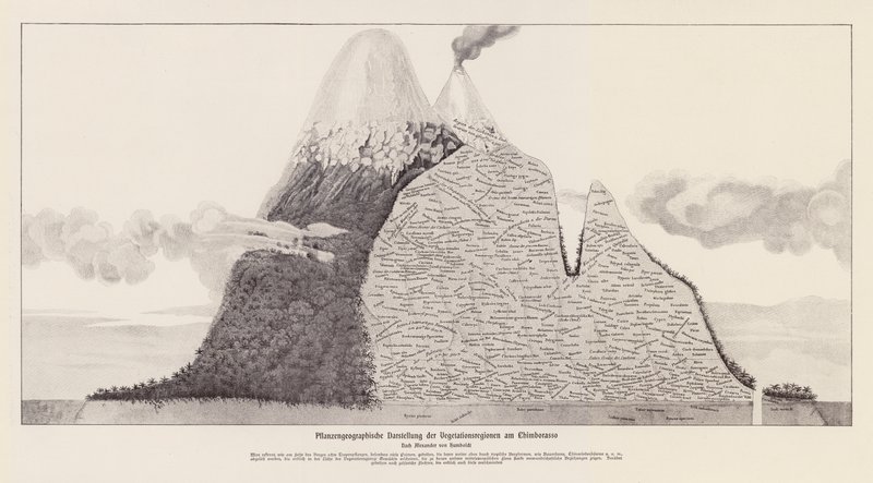Régions de végétation du Chimborazo, Équateur - (after) German School
