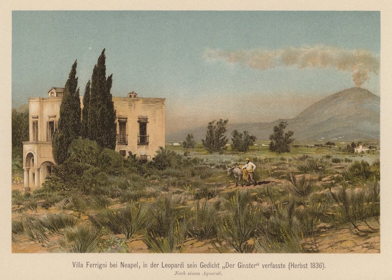 Villa Ferrigni, près de Naples - (after) German School