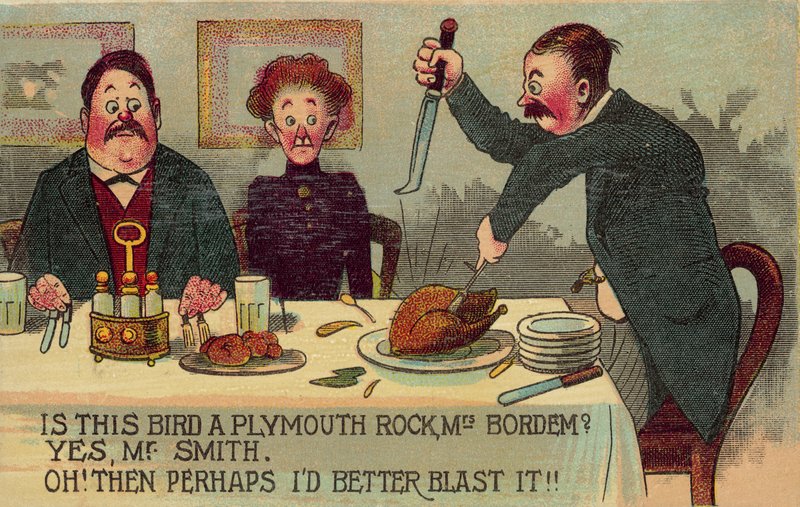 Cet oiseau est-il un Plymouth Rock ? - American School