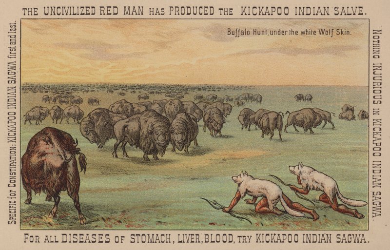 Amérindiens portant des peaux de loup blanc chassant le bison - American School