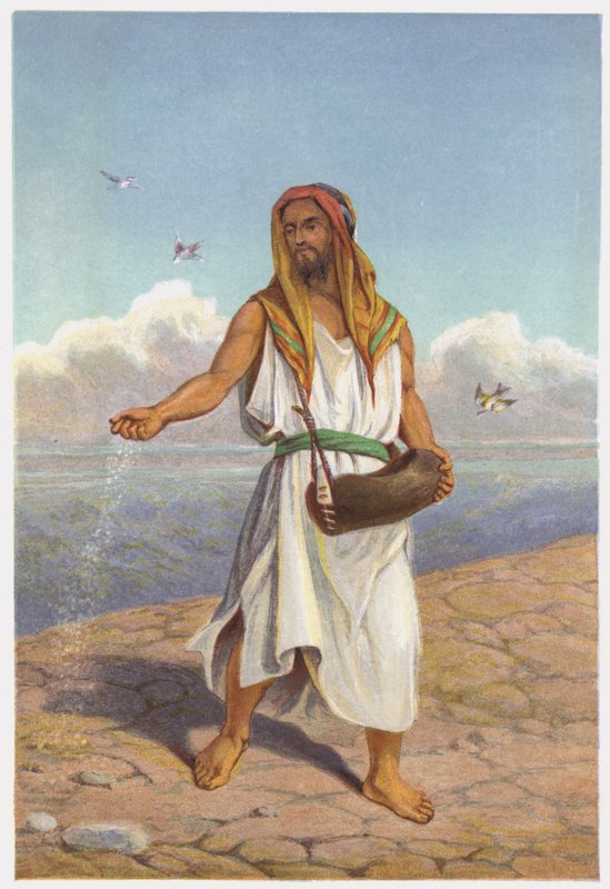 Paraboles de Jésus-Christ : Le Semeur - English School