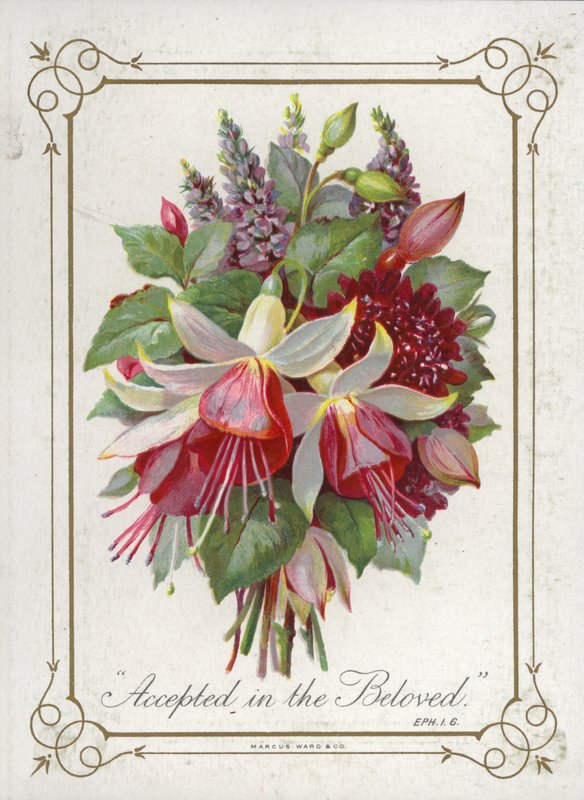 Bouquet de fleurs - English School