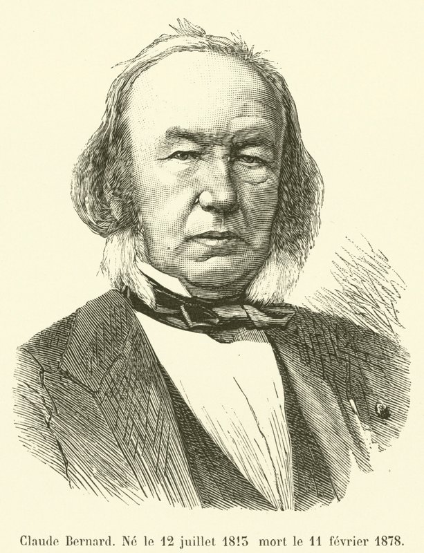 Claude Bernard, Né le 12 juillet 1813 mort le 11 février 1878 - French School