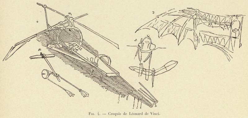 Croquis de Léonard de Vinci - French School
