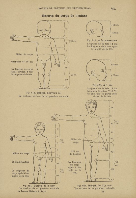 Mesures des proportions idéales du corps d