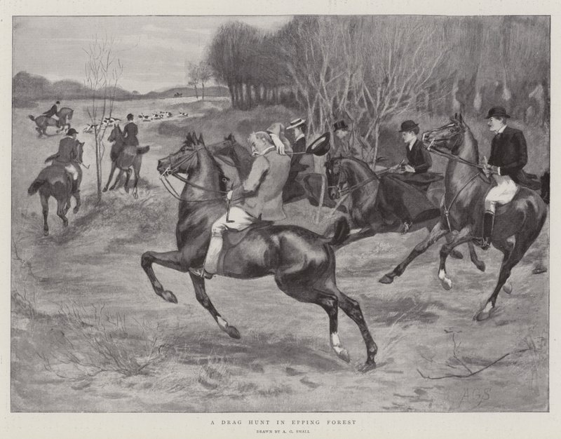 Chasse à courre dans la forêt d