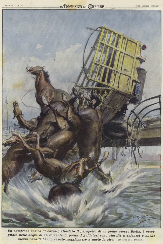 Un camion de chevaux dans un accident à Biella - Achille Beltrame
