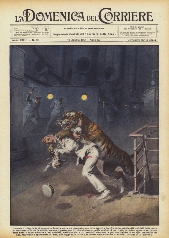 Pendant le voyage de Singapour à Londres sur un paquebot, un tigre a réussi à s