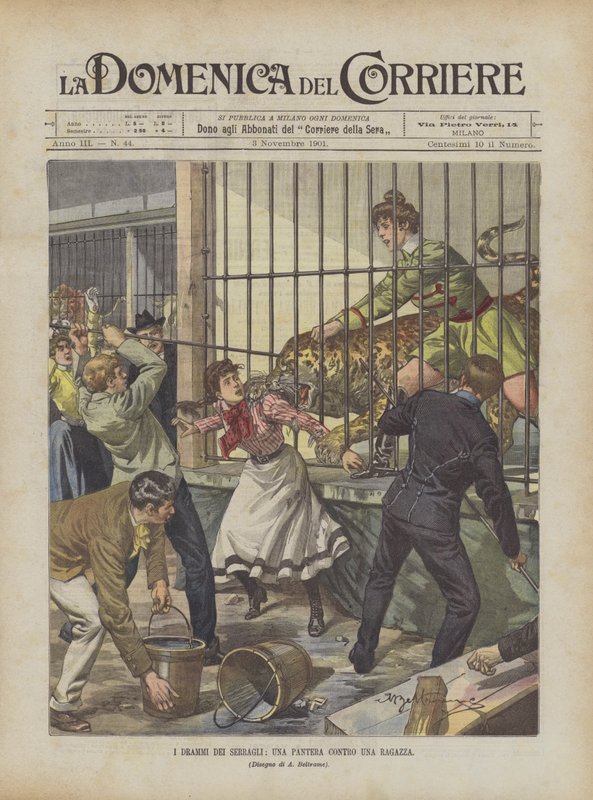 Les drames des ménageries, une panthère contre une jeune fille - Achille Beltrame