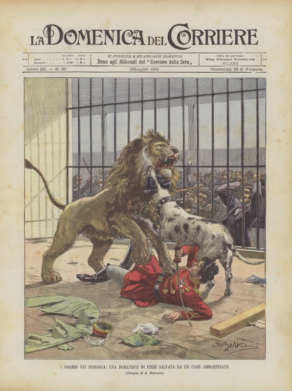 Les drames dans les ménageries, une dompteuse de fauves sauvée par un chien dressé - Achille Beltrame