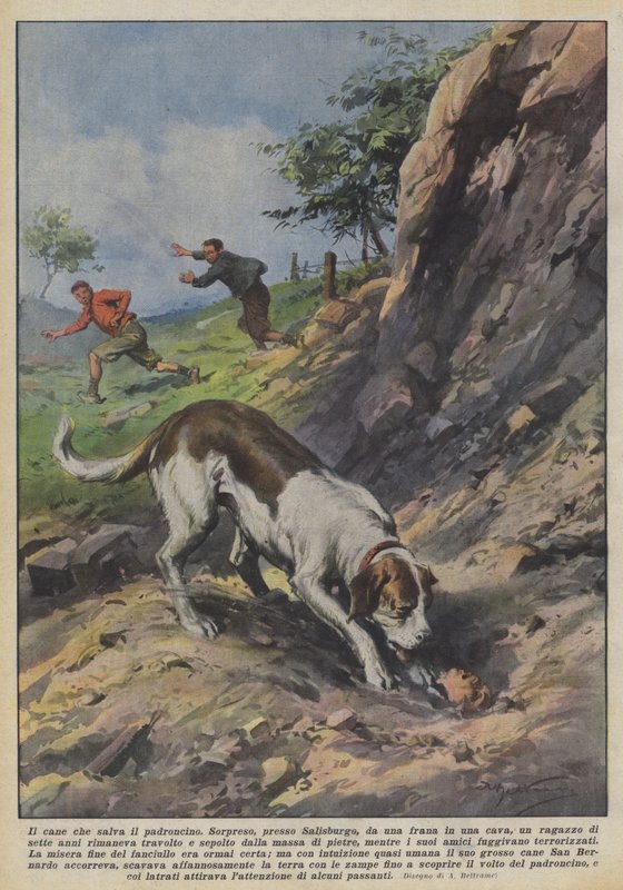 Le chien qui sauve son petit maître - Achille Beltrame