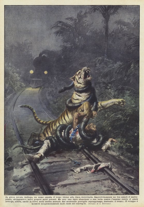 En pleine forêt indienne, un homme attend le train près de la voie ferrée - Achille Beltrame