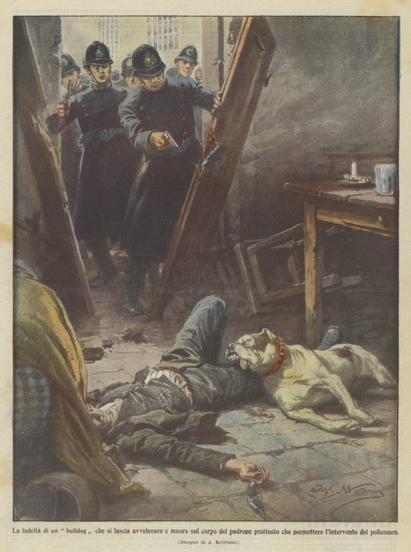 La fidélité d