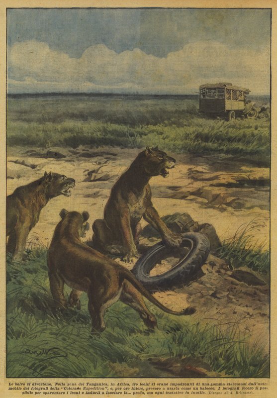 Les bêtes s