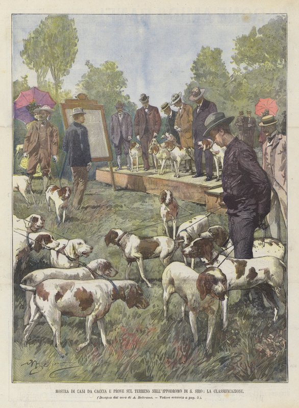 Exposition de chiens de chasse et épreuves sur le terrain à l