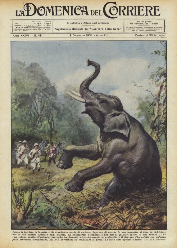 Avant de quitter la Somalie, le Roi est allé chasser les éléphants - Achille Beltrame