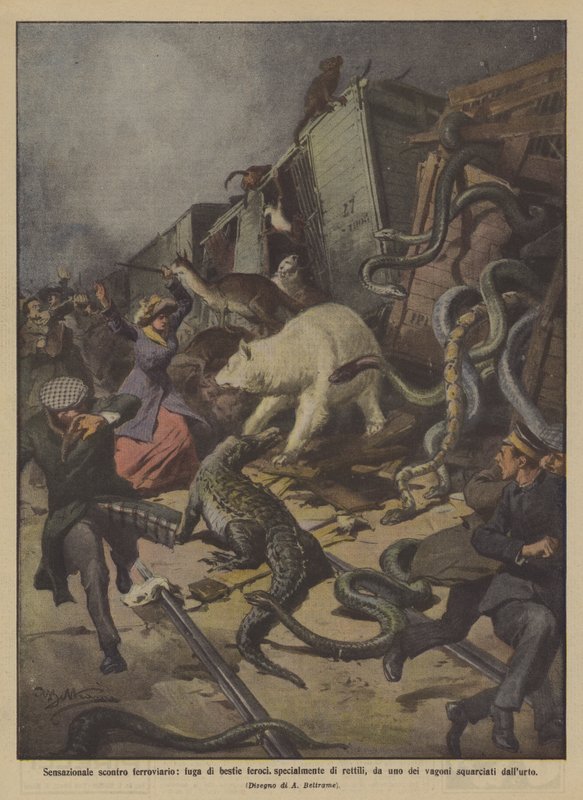 Collision ferroviaire sensationnelle, fuite de bêtes féroces, notamment de reptiles - Achille Beltrame