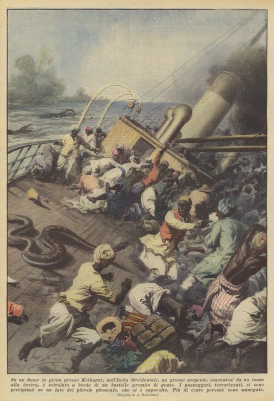 Sur une rivière en crue près de Kolhapur, en Inde occidentale, un gros serpent, détaché - Achille Beltrame