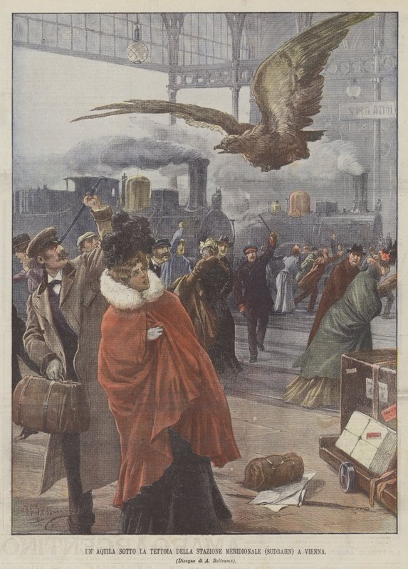 Un aigle sous l