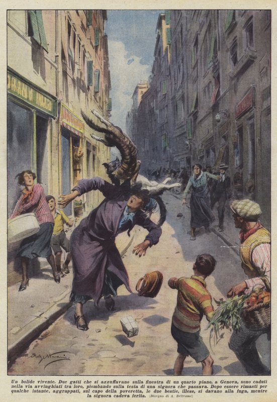 Un bolide vivant - Achille Beltrame