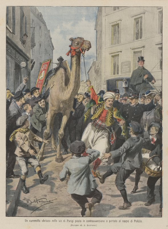 Un chameau ivre dans les rues de Paris mis en contravention et emmené au poste de police - Achille Beltrame