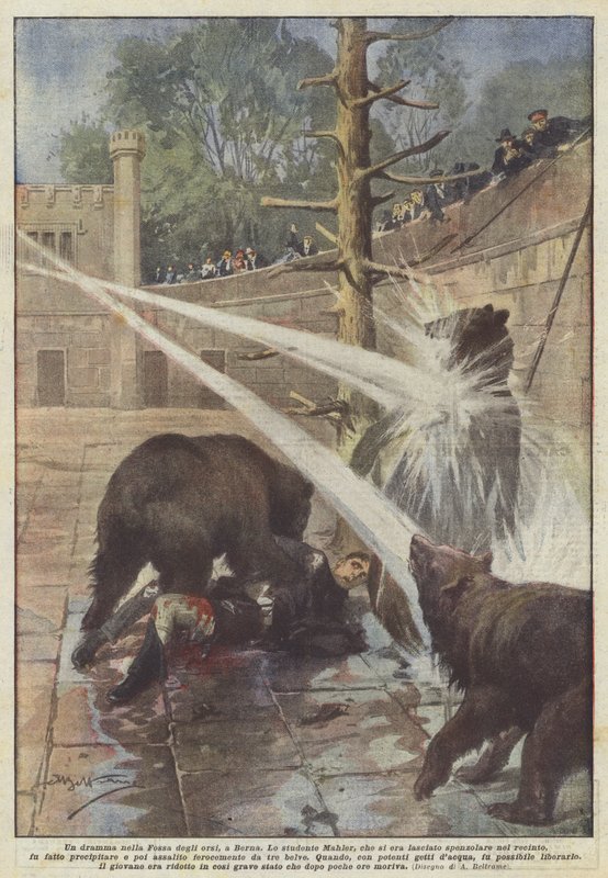 Un drame dans la Fosse aux ours, à Berne - Achille Beltrame