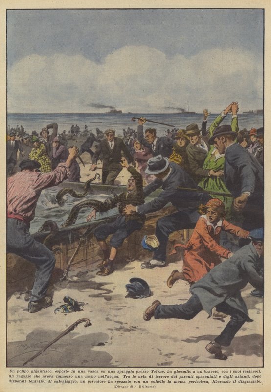 Un poulpe gigantesque, exposé dans un bassin sur une plage près de Toulon, a saisi - Achille Beltrame