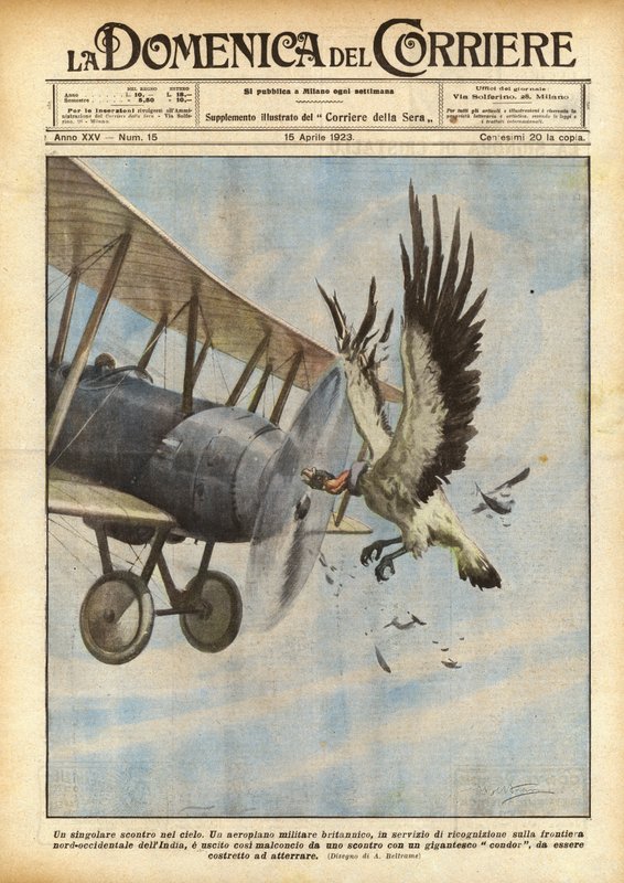 Un affrontement singulier dans le ciel - Achille Beltrame