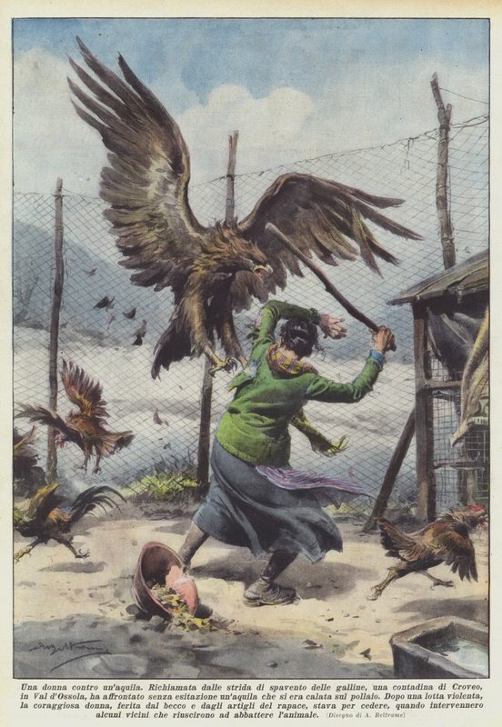 Une femme contre un aigle - Achille Beltrame
