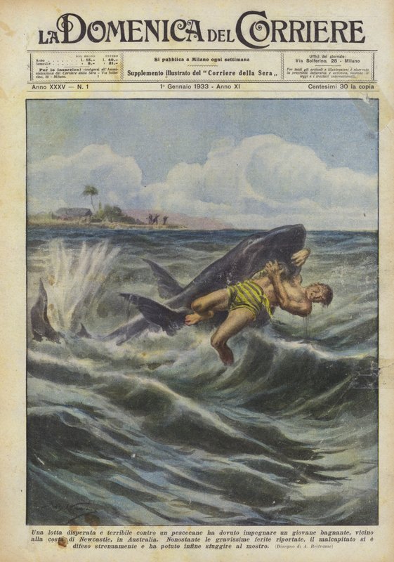 Un jeune baigneur a dû engager une lutte désespérée et terrible contre un requin - Achille Beltrame