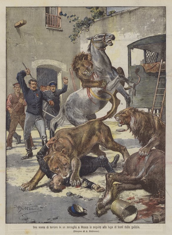 Une scène de terreur dans une ménagerie à Moscou suite à la fuite de lions de leur cage - Achille Beltrame
