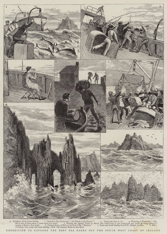 Expédition pour explorer la faune des grands fonds au large de la côte sud-ouest de l