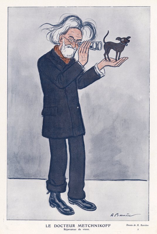 Elie Metchnikoff, zoologiste russe - Adrien Barrere