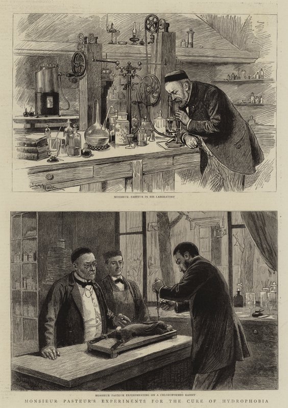 Les expériences de Monsieur Pasteur pour la guérison de la rage - Adrien Emmanuel Marie