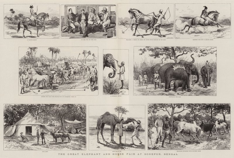 La grande foire aux éléphants et aux chevaux à Sonepur, Bengale - Adrien Emmanuel Marie