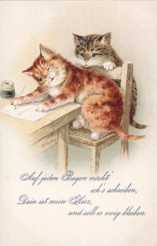 Carte postale humoristique de chat - Alexander Francis (after) Lydon