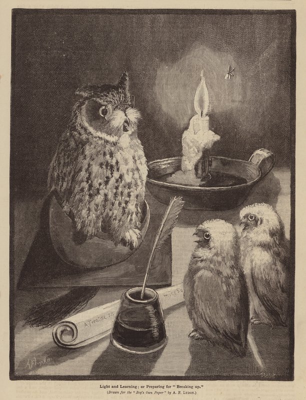 Lumière et apprentissage ; ou, Préparation pour la fin des cours - Alexander Francis (after) Lydon
