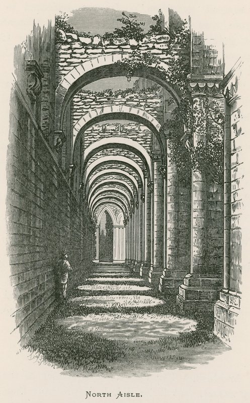 Abbaye de Fountains, nef nord - Alexander Francis Lydon