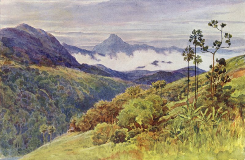 Brumes matinales dans la vallée du Mahawelli Gangha (lithographie en couleur) - Alexander Henry Hallam Murray
