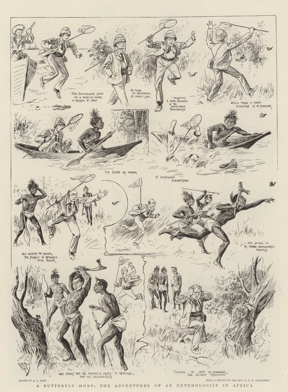 Chasse aux papillons, les aventures d