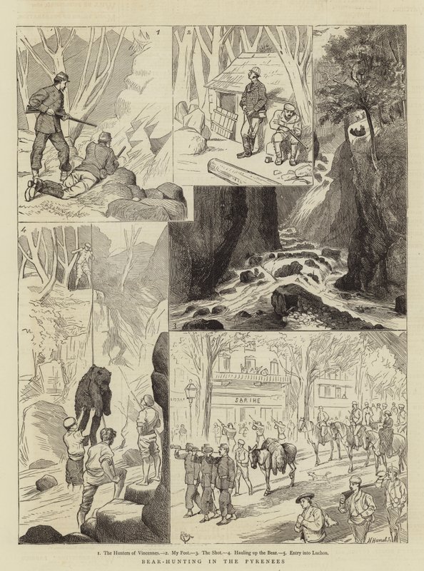 Chasse à l